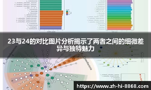 23与24的对比图片分析揭示了两者之间的细微差异与独特魅力